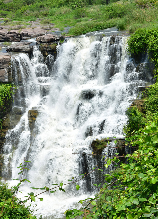 Tourist Rush at Ethipothala Waterfalls Photos9