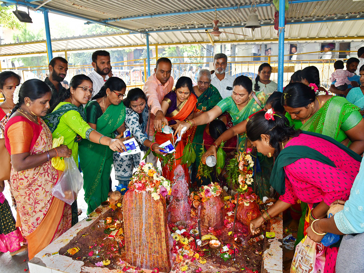 Nag Panchami Celebration 2024 Photos1