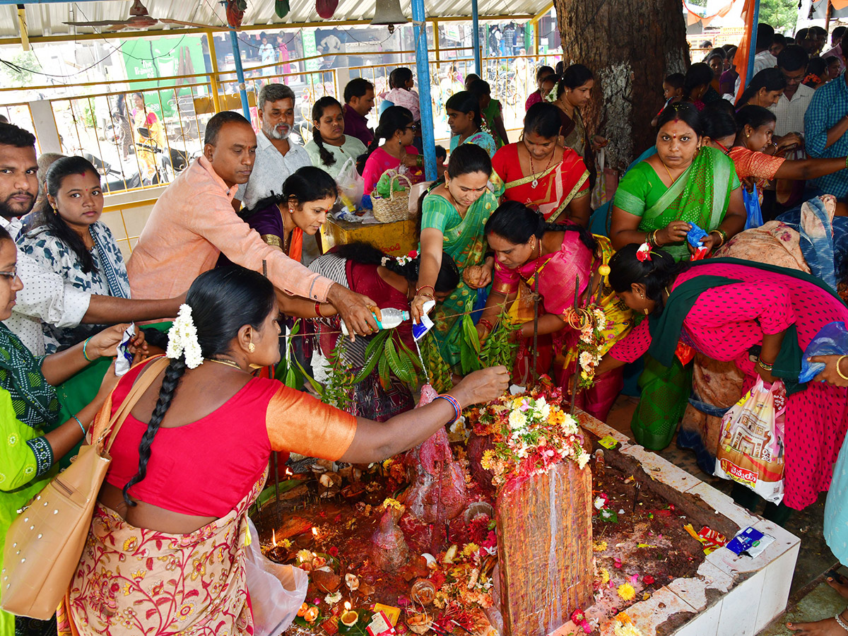 Nag Panchami Celebration 2024 Photos15