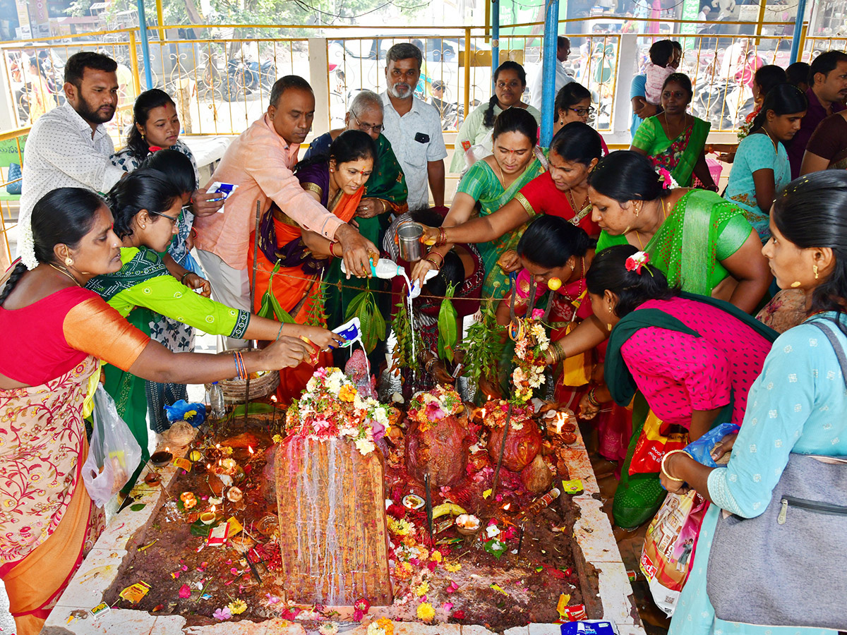 Nag Panchami Celebration 2024 Photos16