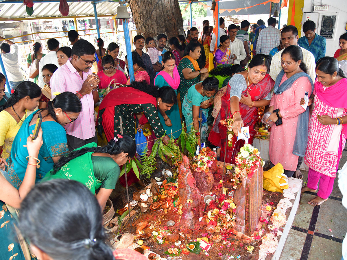 Nag Panchami Celebration 2024 Photos23