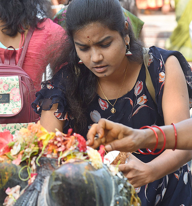 Nag Panchami Celebration 2024 Photos7