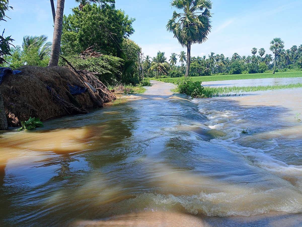 Heavy Flood Water To Rajahmundry On Godavari Photos21