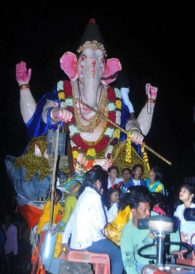 Ganesh Immersion in Anantapur District Photos29