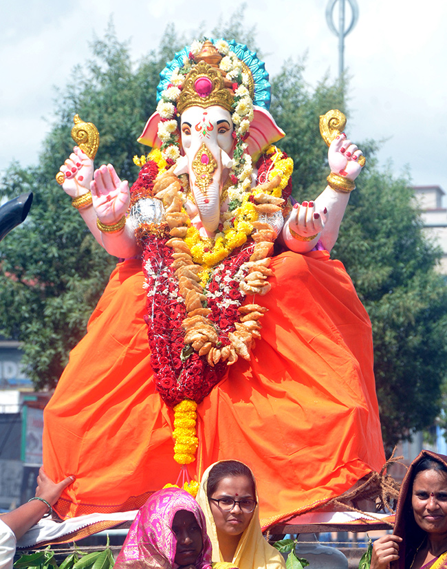 Ganesh Immersion in Anantapur District Photos25