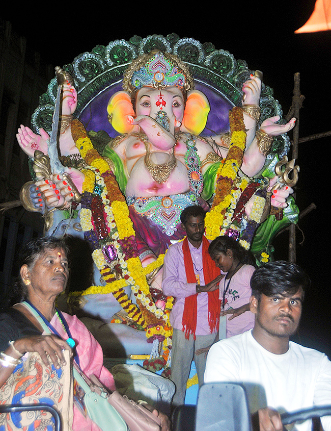 Ganesh Immersion in Anantapur District Photos7