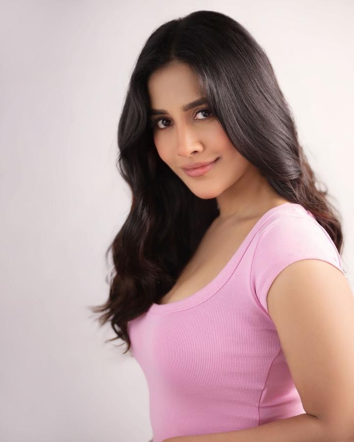 Nabha Natesh Latest Photos Goes Viral2