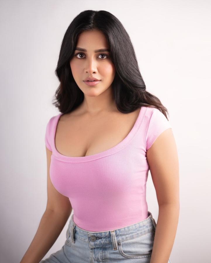 Nabha Natesh Latest Photos Goes Viral4