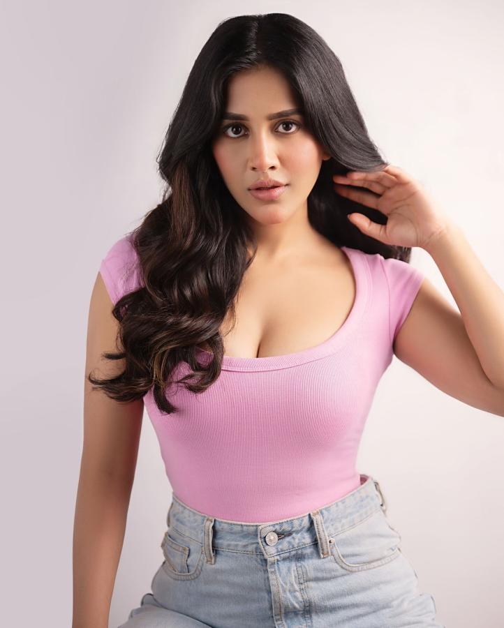 Nabha Natesh Latest Photos Goes Viral7