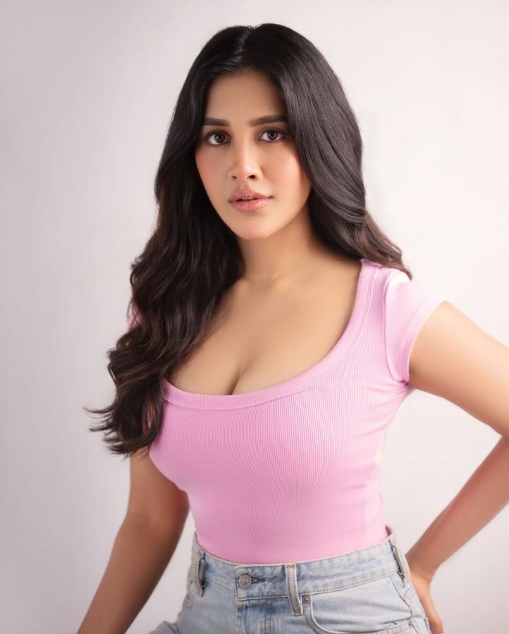 Nabha Natesh Latest Photos Goes Viral9