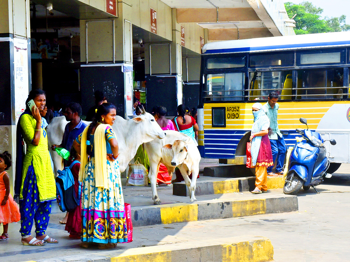 Best Photos of The Day in AP and Telangana Photo Gallery25