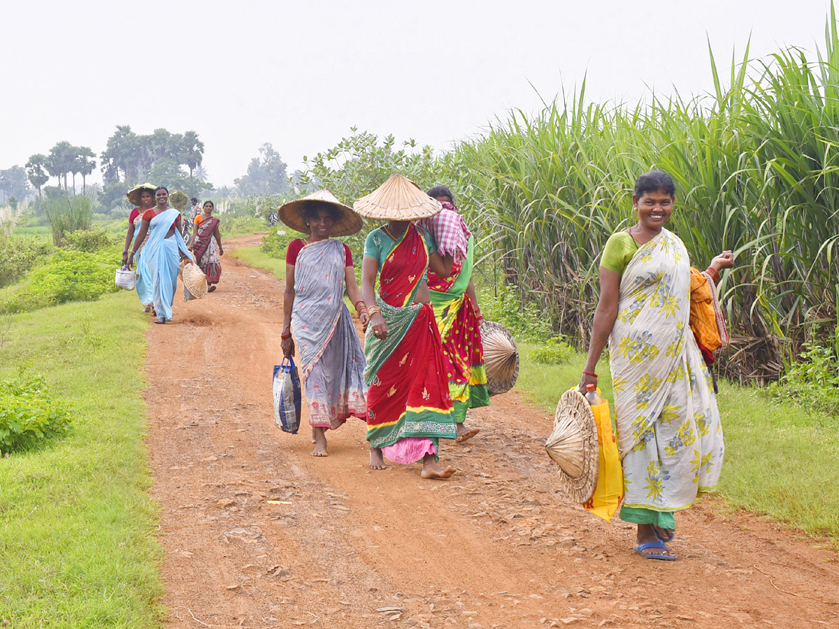 Best Photos of The Day in AP and Telangana Photo Gallery30