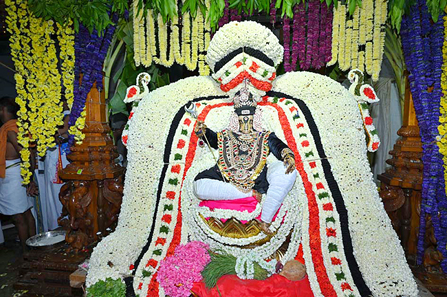 Kanipakam Srivarasiddhi Vinayaka Brahmotsavam Photos7