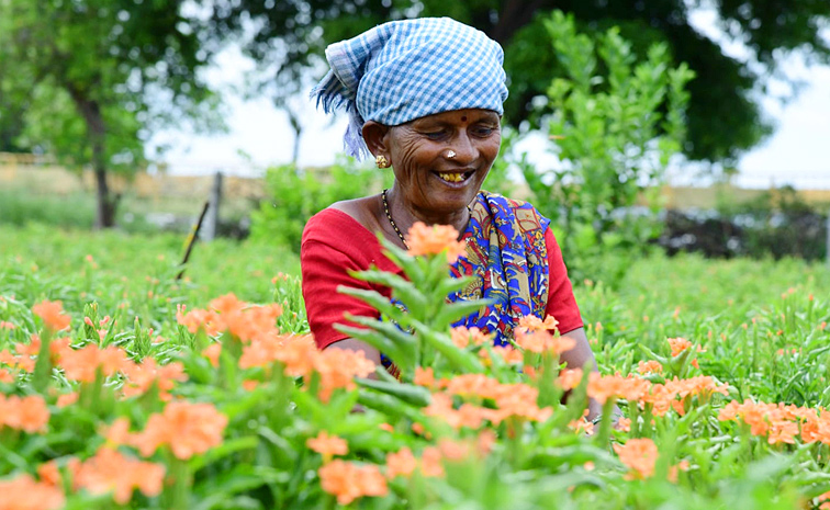 Flower garden In Satya Sai District Dharmavaram Photos14