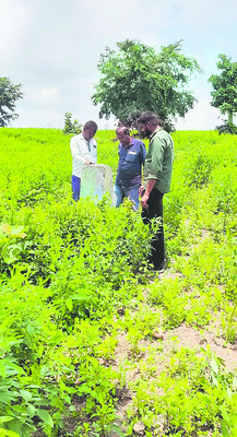 అటవీ భూములు హాంఫట్‌! 1