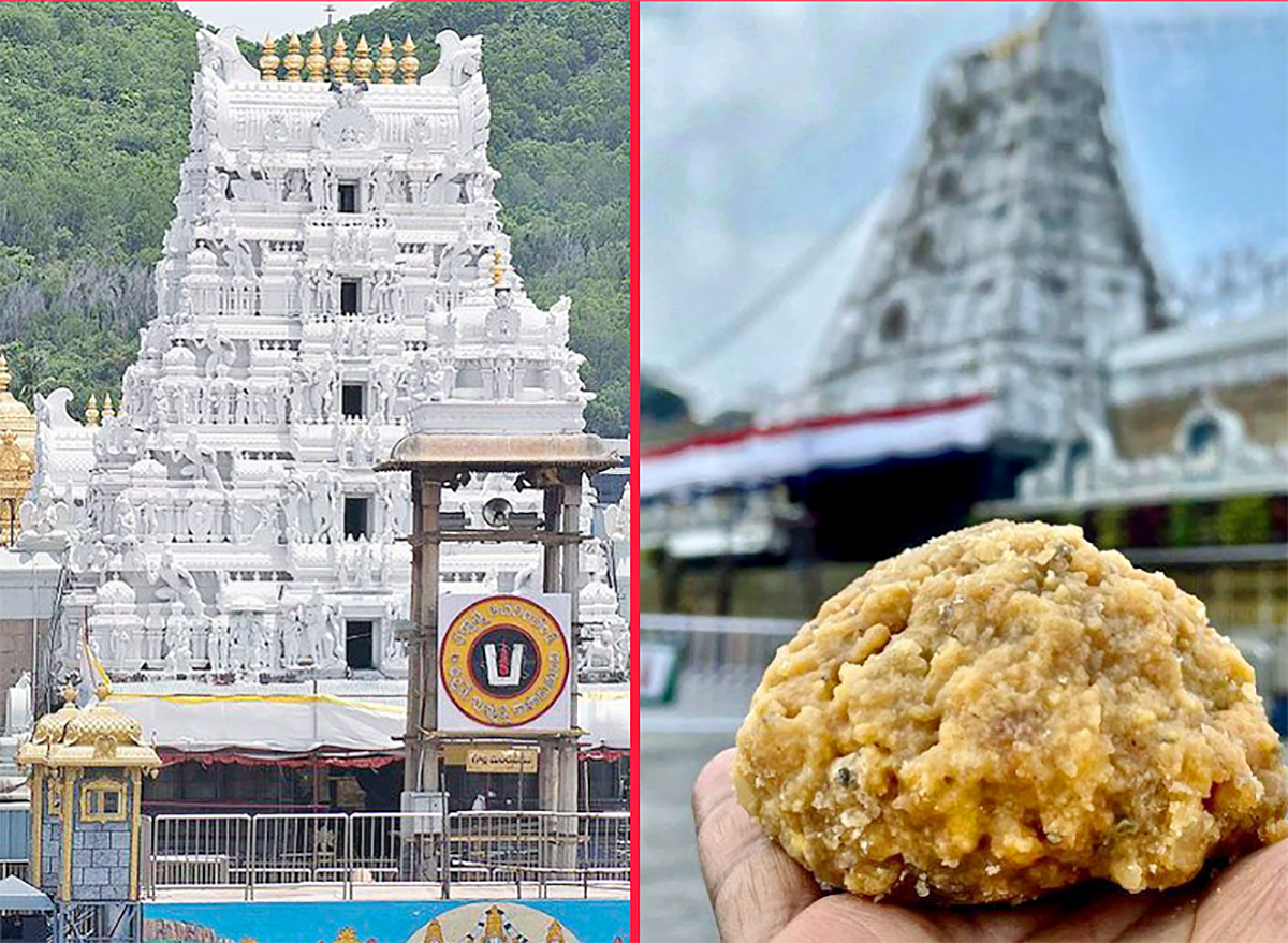 Tirupati Laddu Row: Supreme Court Slams AP CM Chandrababu2