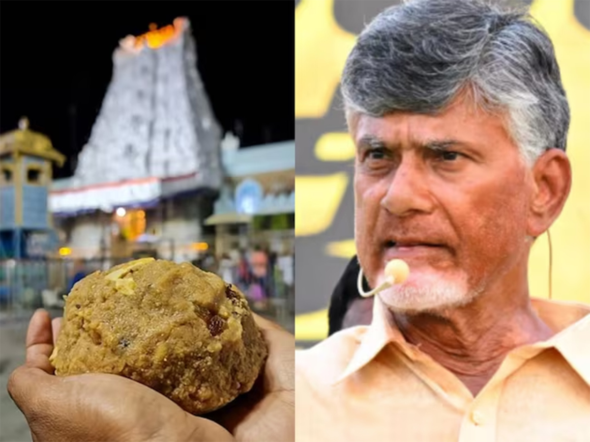 Tirupati Laddu Row: Supreme Court Slams AP CM Chandrababu4