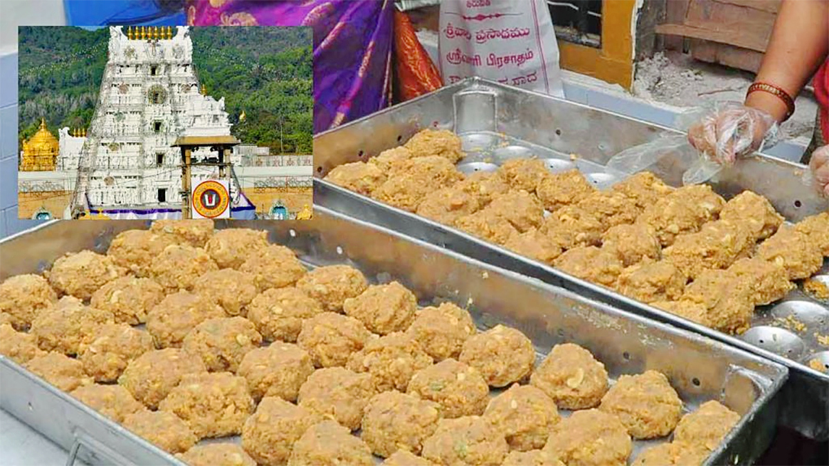 Tirupati Laddu Row: Supreme Court Slams AP CM Chandrababu8