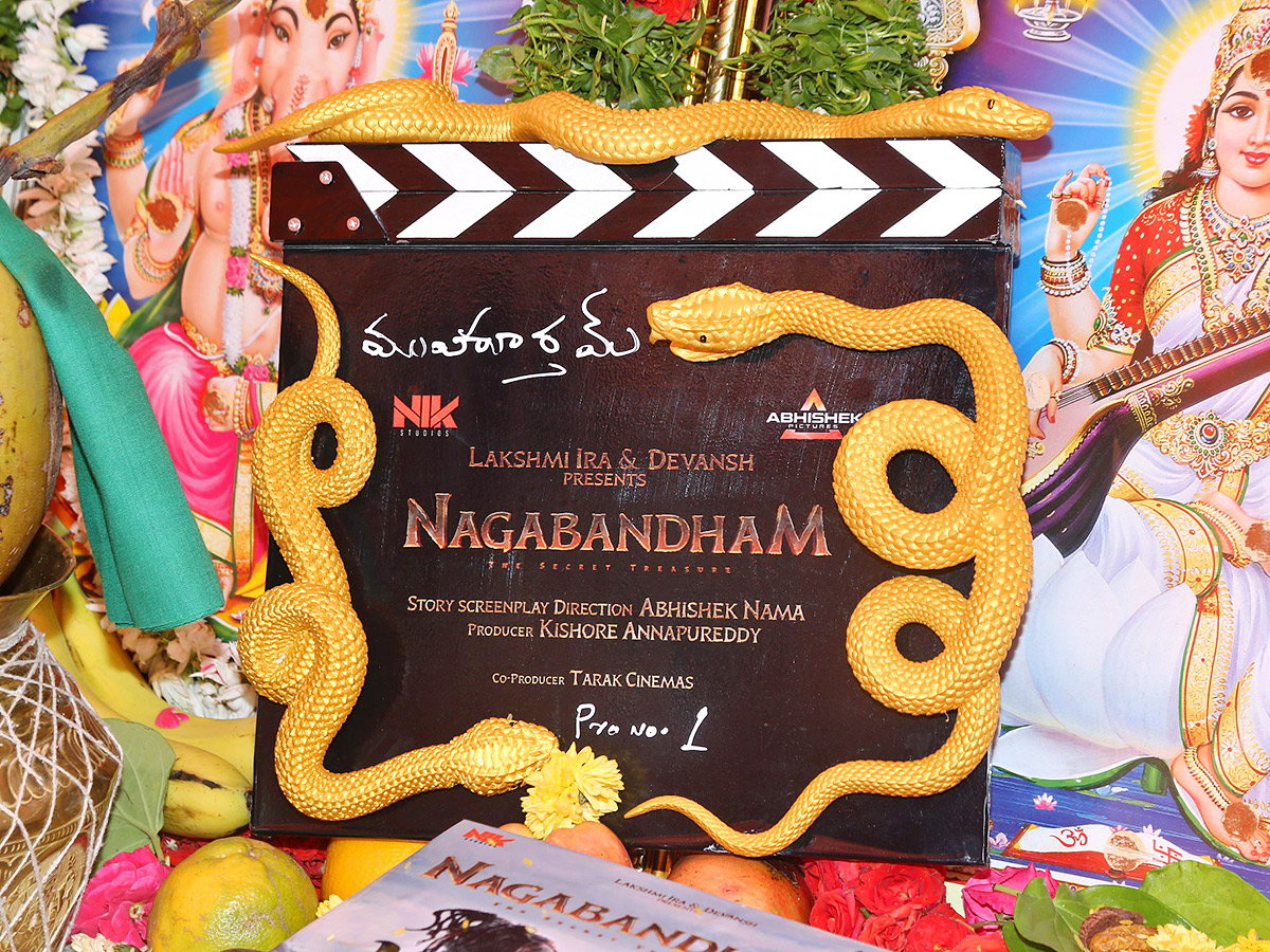 Megastar Chiranjeevi Launched Nagabandham Movie Photos20