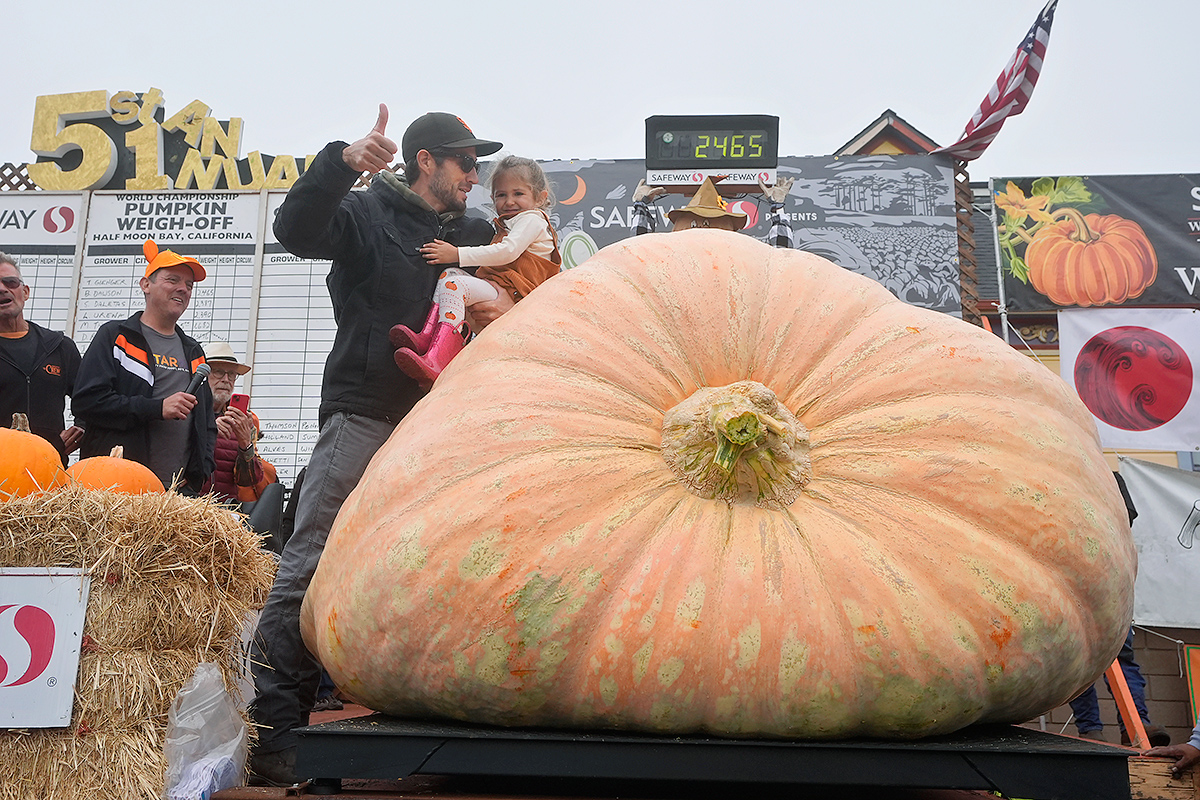 pumpkin weighed in at 2,471 pounds to win at the Safeway World Championship1