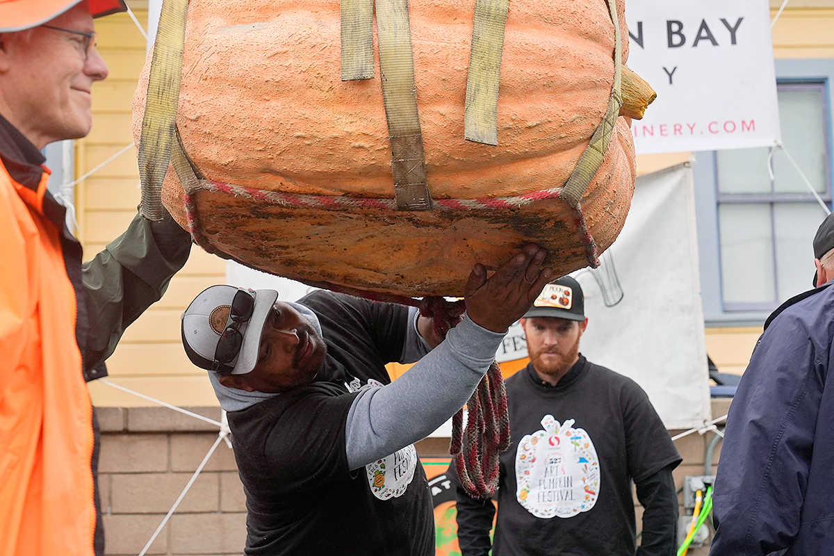 pumpkin weighed in at 2,471 pounds to win at the Safeway World Championship2