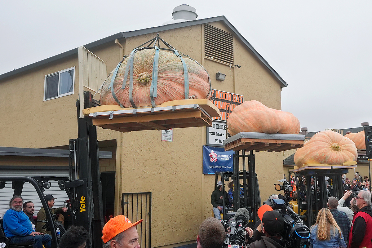 pumpkin weighed in at 2,471 pounds to win at the Safeway World Championship4