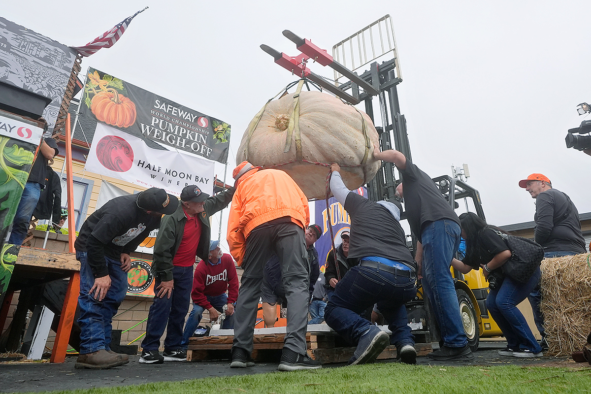 pumpkin weighed in at 2,471 pounds to win at the Safeway World Championship5