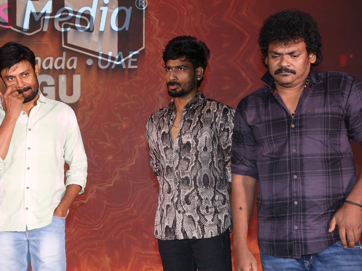 Gopichand Viswam Movie Success Meet Photos20