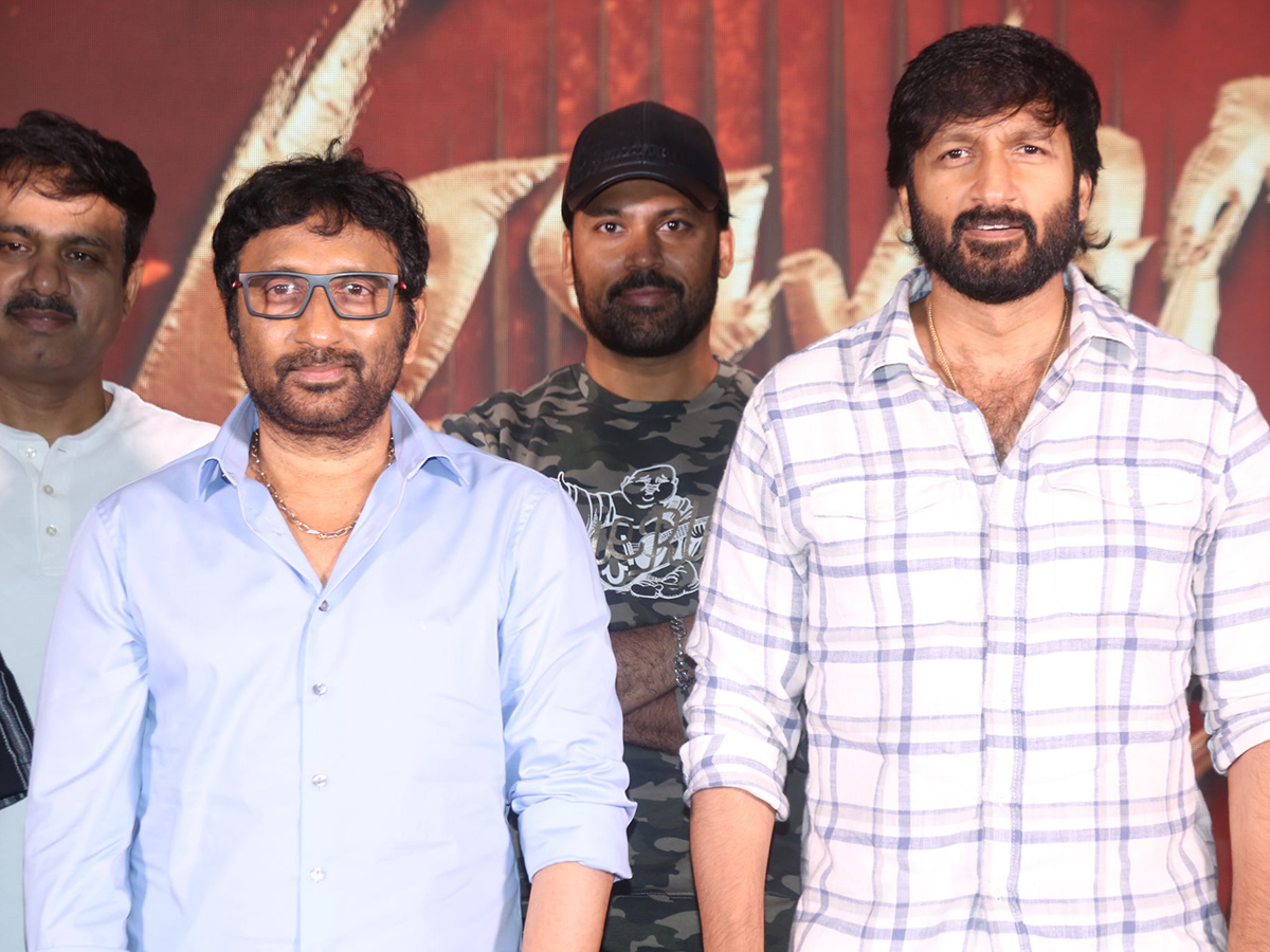 Gopichand Viswam Movie Success Meet Photos4