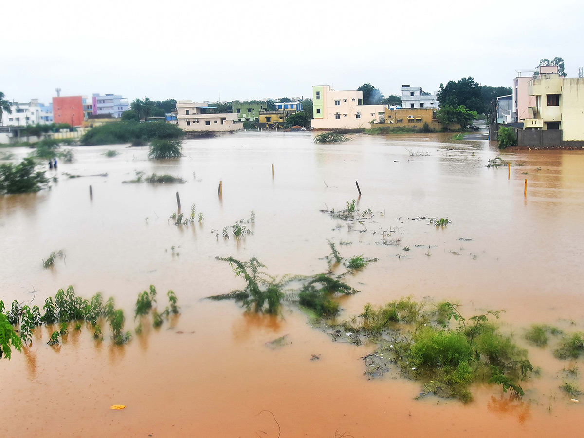 heavy rains in andhra pradesh today photos22