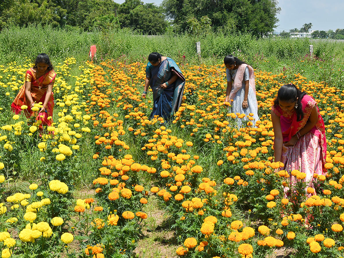 Bathukamma celebrations from today Photos27