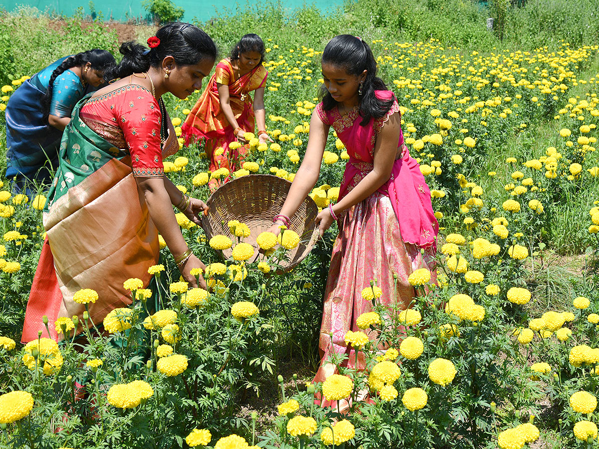 Bathukamma celebrations from today Photos28