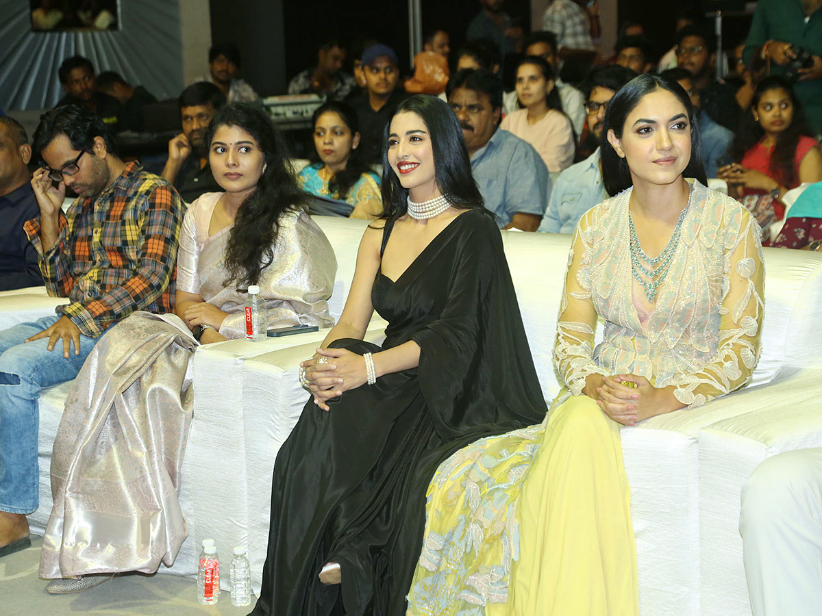 Hero Sree Vishnu SWAG Pre Release Event Photos14