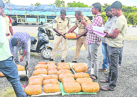 రోడ్డు ప్రమాదంలో బయటపడ్డ గంజాయి1