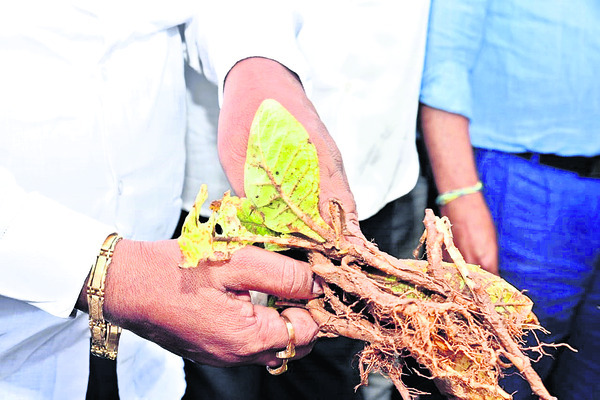 వర్షార్పణం2