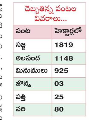 వర్షార్పణం5