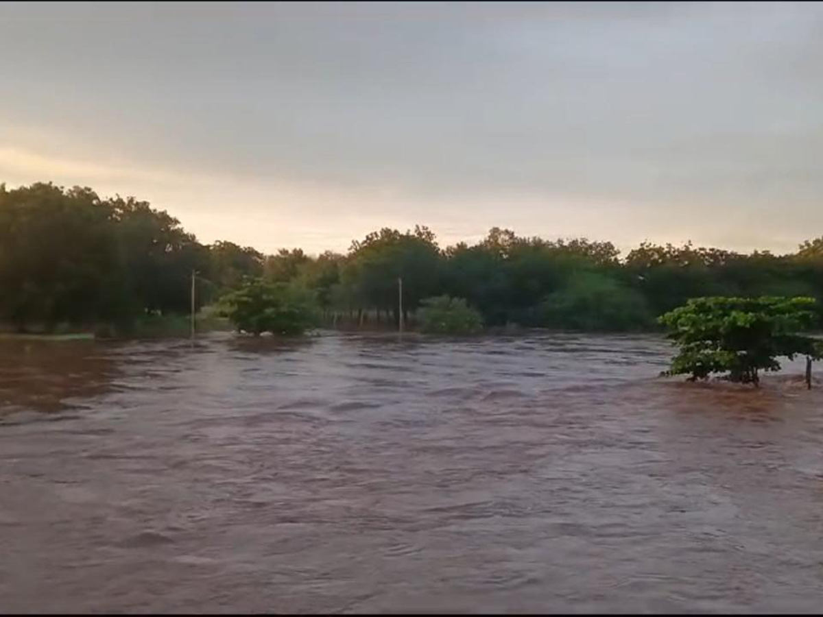 Pandameru river Flood in Raptadu Anantapur district13