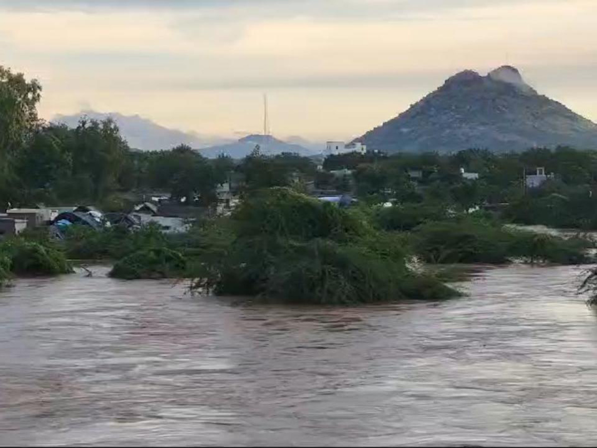 Pandameru river Flood in Raptadu Anantapur district5