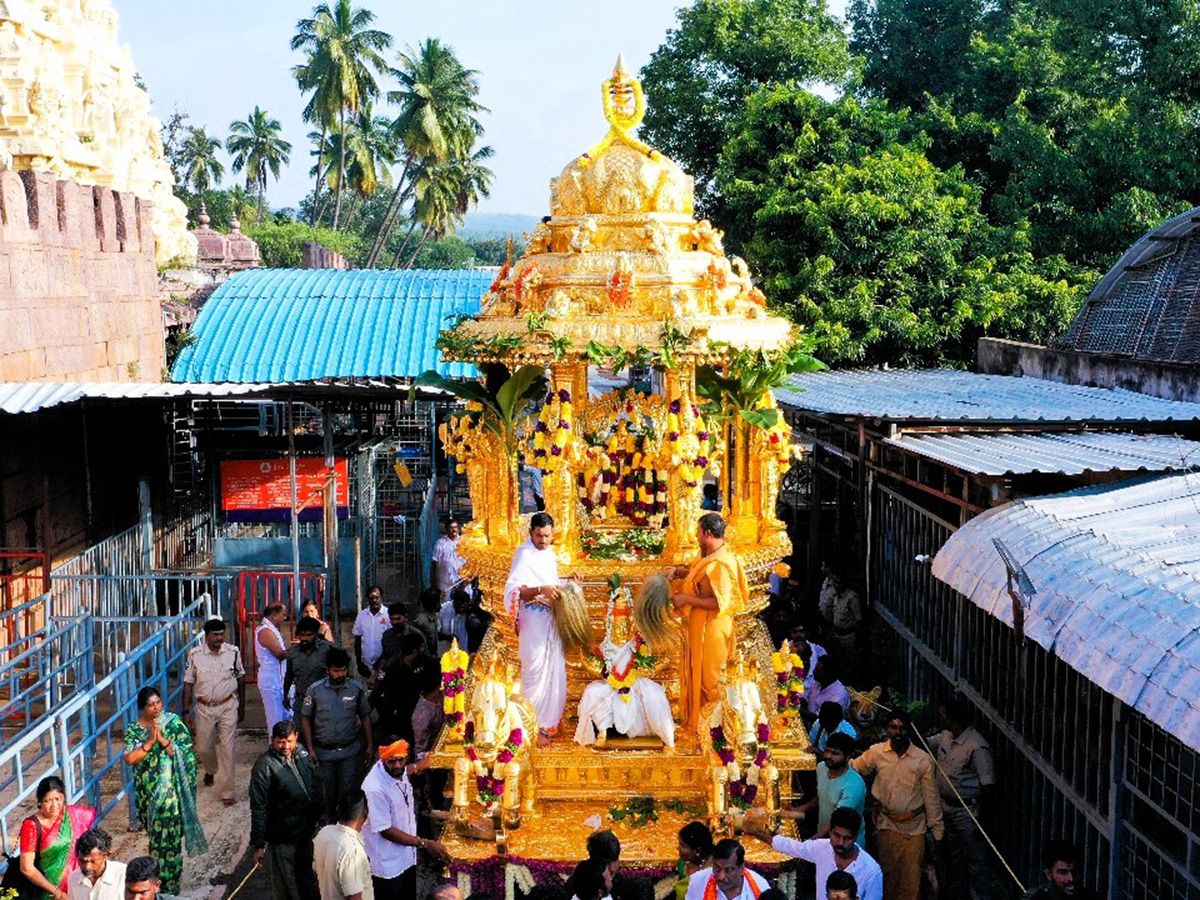 Swarna Rathotsavam Celebrated in Srisailam Photos9