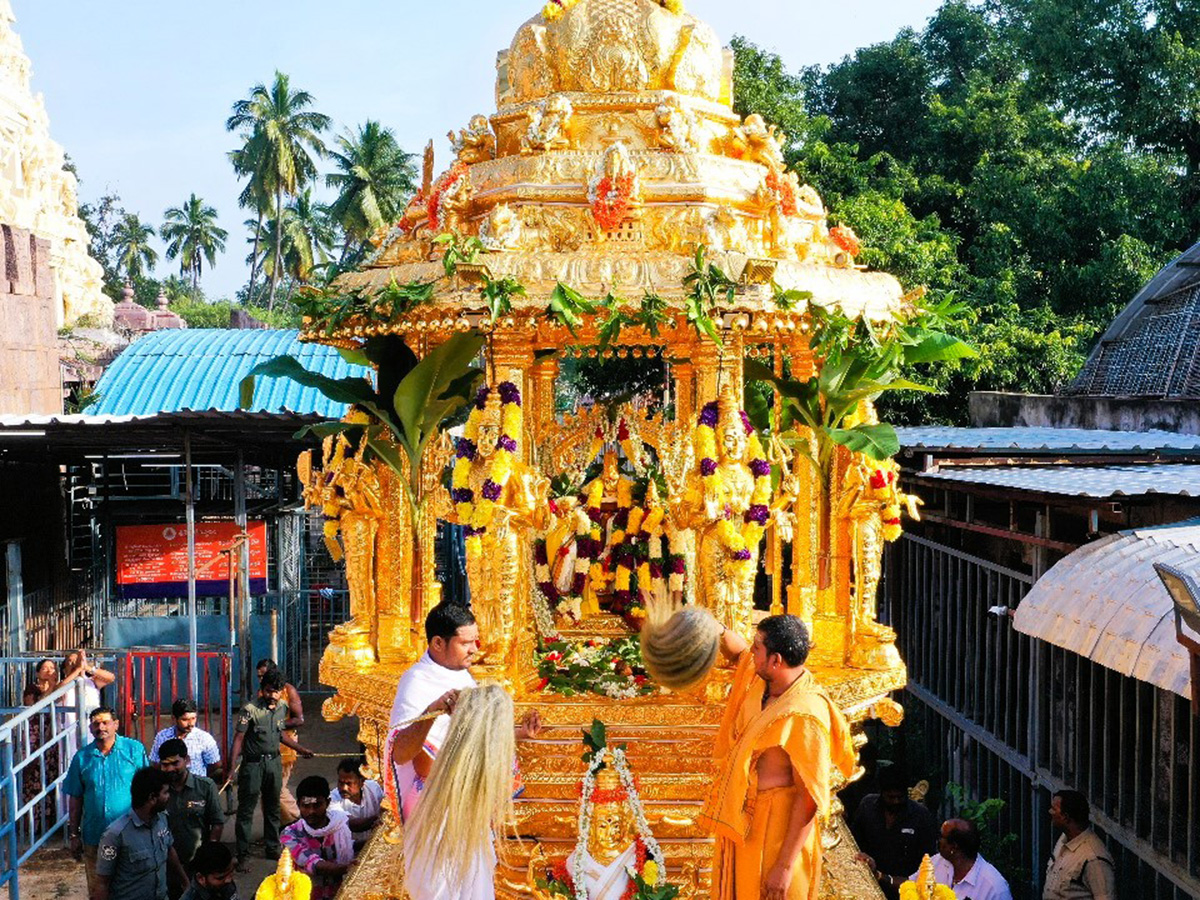 Swarna Rathotsavam Celebrated in Srisailam Photos10