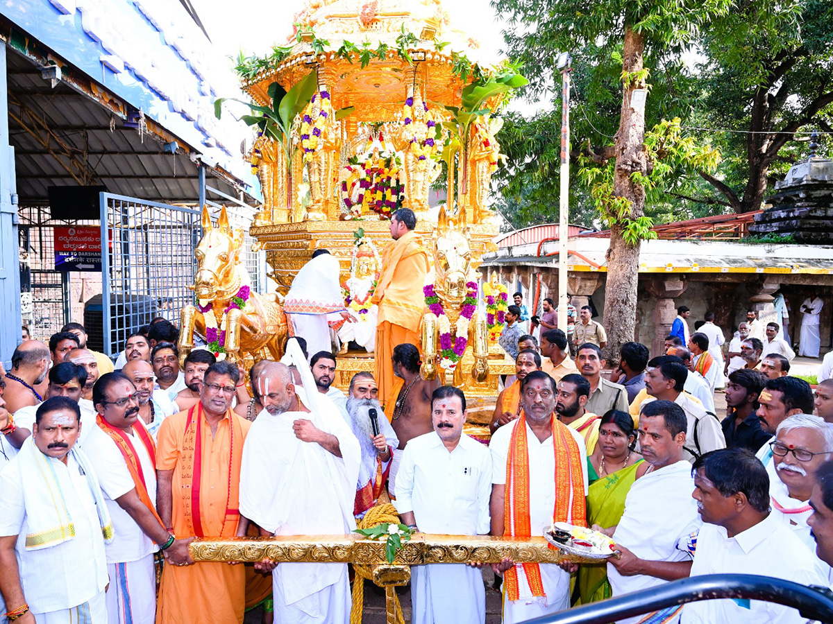 Swarna Rathotsavam Celebrated in Srisailam Photos3