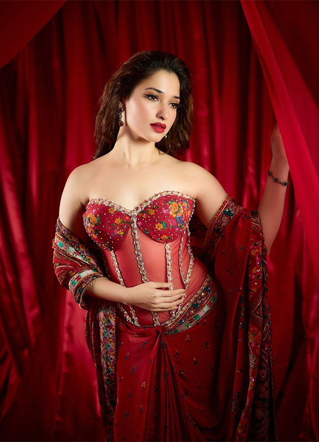 Actress Tamannaah Bhatia Hot Photos11