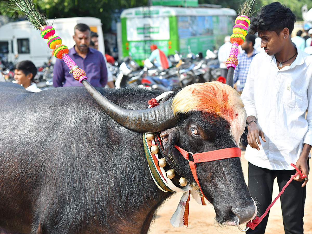 Sadar Sammelan at NTR Stadium 2024 Photos23