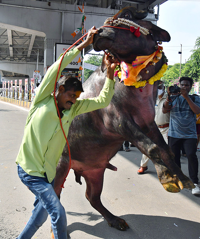 Sadar Sammelan at NTR Stadium 2024 Photos27