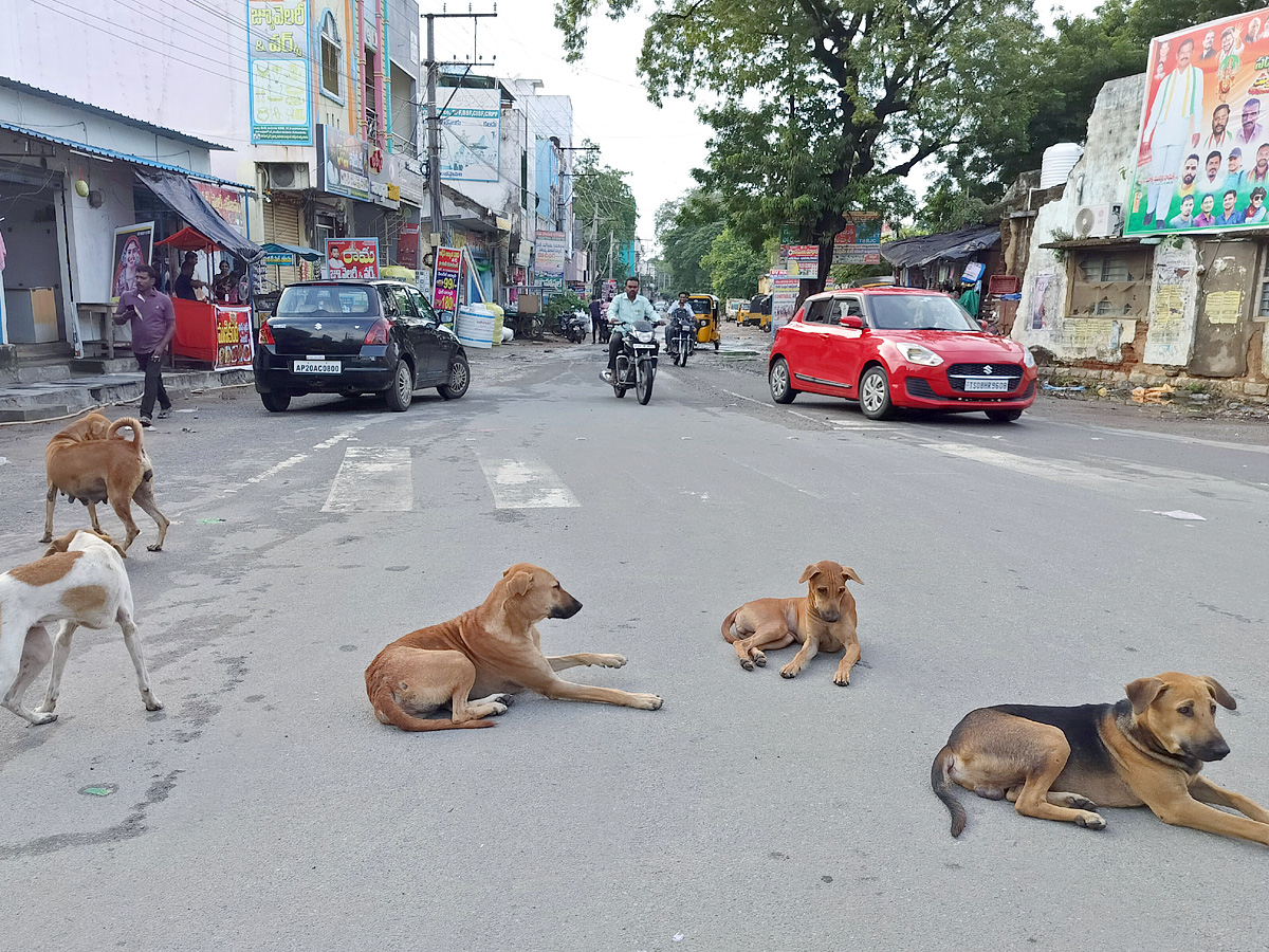 Best Photos of The week in AP and Telangana Photo Gallery13