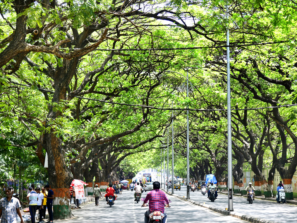 Best Photos of The week in AP and Telangana Photo Gallery34