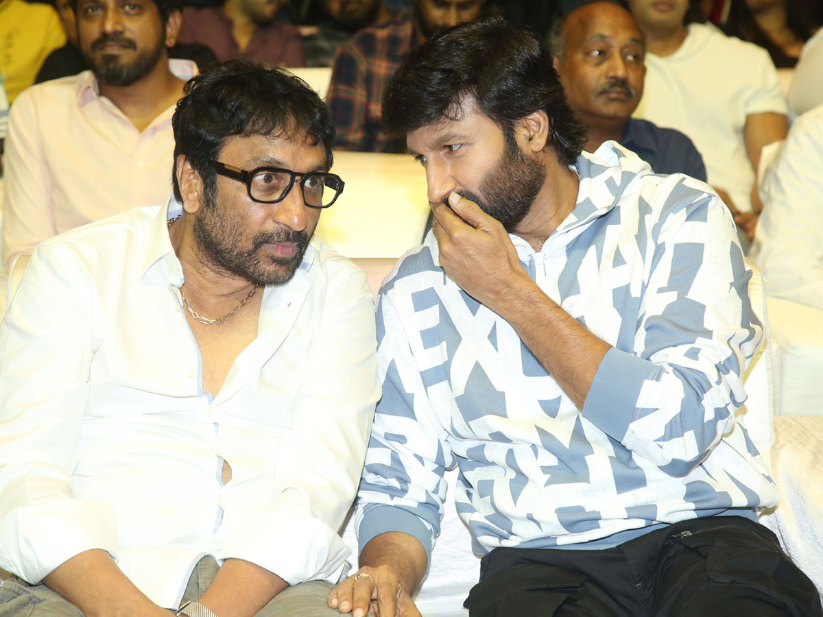 Gopichand Viswam Moive Pre Release Event Photos20