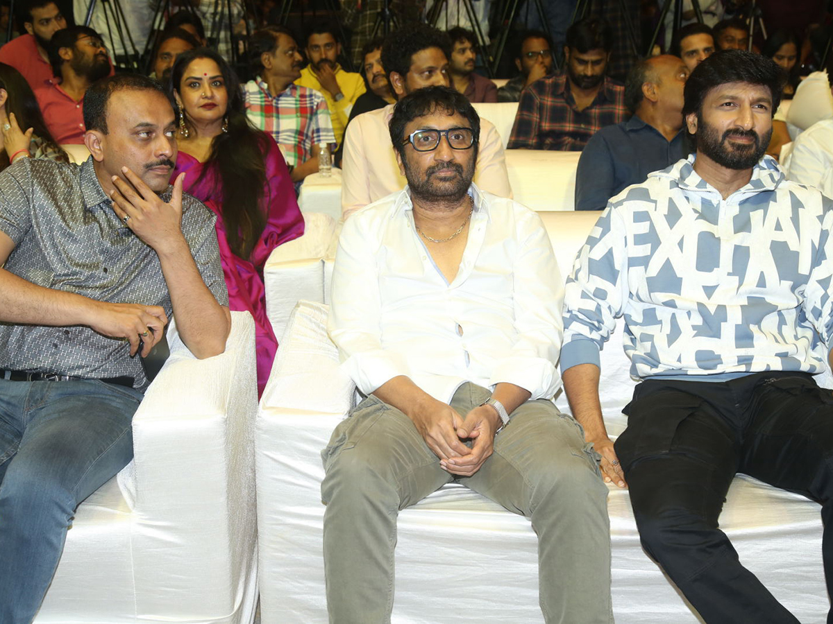 Gopichand Viswam Moive Pre Release Event Photos21