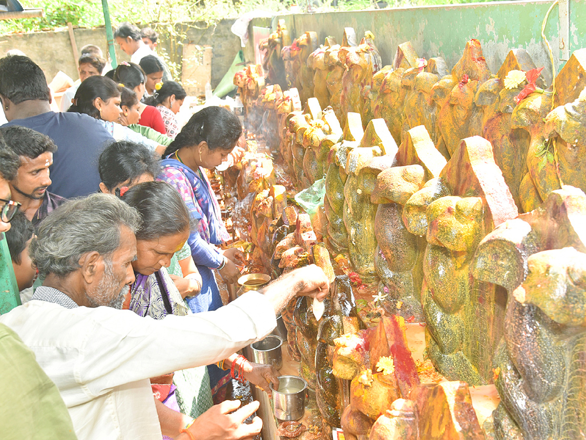 Best Photos of The Week in AP and Telangana Photo Gallery10