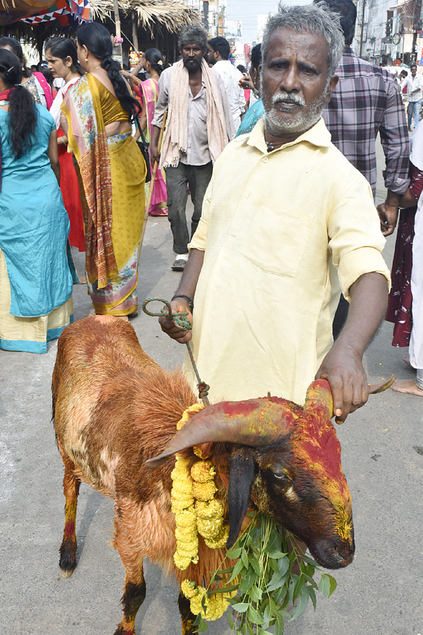 Best Photos of The Week in AP and Telangana Photo Gallery42